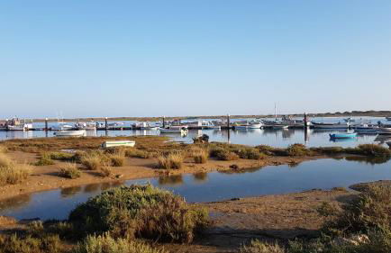 Luxury 3 bedroom Villa with Private Pool - Photo 29