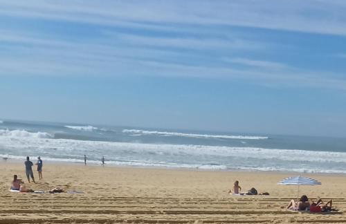 Cap Landes à Léon - Foto 11