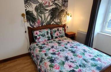 Le TROPICA Appartement 2 chambres, plein Sud centre ville de VITRÉ - Foto 4