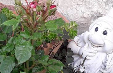 Agriturismo Grossola - Foto 8