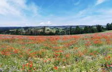 Ferienwohnung Heimatliebe mit Alpenblick - Foto 33