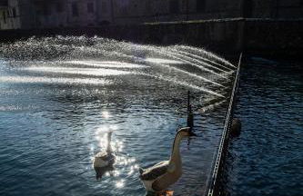 La Casa del Puffo - Foto 17