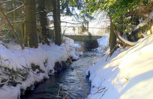 Ferienwohnung am Ellerbach - Foto 79