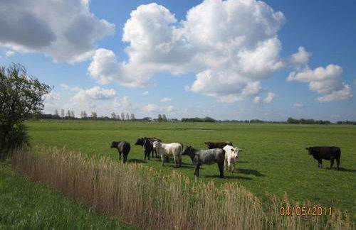 Landhaus op de Warft - Foto 21