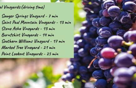 Tranquil Mountain Retreat With Hot Tub Pet Friendly - Foto 35