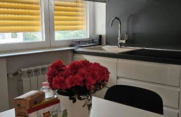 Eur appartamento vista lago Fattori - Foto 19