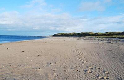 Alncroft- 28486 - Foto 12