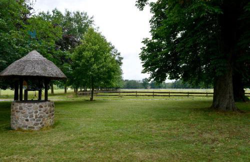 Ferienwohnung Juttashof - Foto 24