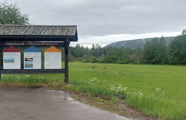 Forest Family Home - Foto 71