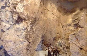 La Cabaña de Bernardina - Foto 15