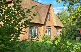 Möwen-Nest - Foto 48