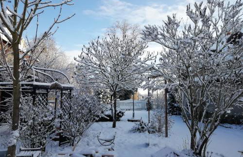 Schlossblick Apartment für 4 mit Küche Kamin Netflix Parken und Hofladen - Foto 49