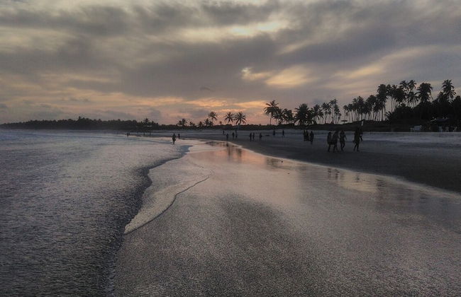 Casa do leo - Foto 42