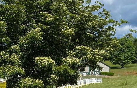 Gibbs Getaway - Foto 32