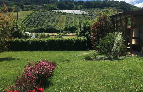 Casa al mare - Francesco - Foto 16