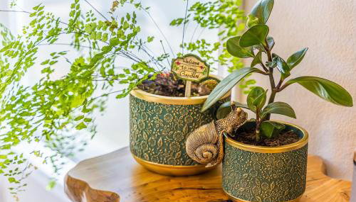 Rainforest Tiny Home Retreat Enchanted - Foto 2