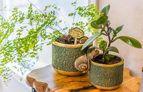 Rainforest Tiny Home Retreat Enchanted - Foto 2