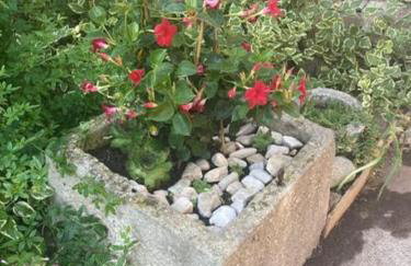 Vila Klara double room - terrace view - Foto 12