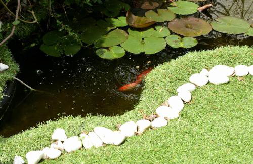 Forest Escape near Barcelona - Foto 9