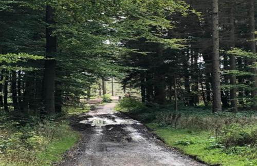Wohnung im Teutoburger Wald Externsteine - Foto 48