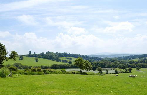 St Vincent - Foto 15