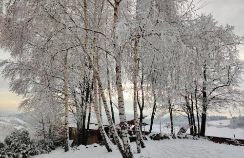 Agroturystyka Faron - Foto 36