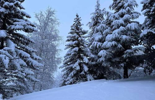 Résidence L'hostellerie - RESIDENCE L'HOSTELLERIE MAE-0031 - Foto 8