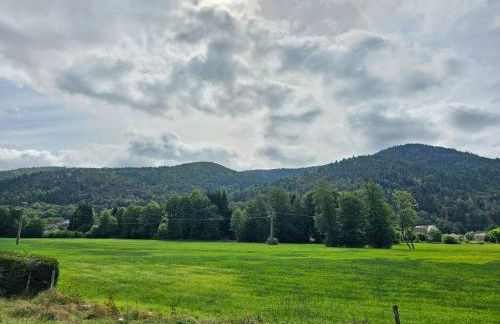 Maison au pied des 1000 étangs - Foto 57