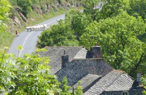 Gîte paisible et chaleureux avec grande terrasse - activités nature et patrimoine à proximité - FR-1-582-143 - Photo 7