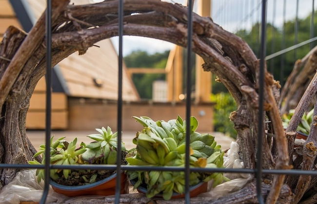 Nesting Resort posestvo SONČNI RAJ - Foto 24