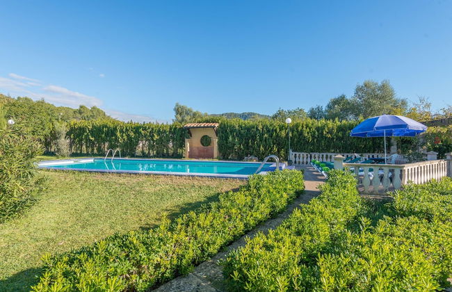 Hibiscus in Sa Pobla - Foto 2