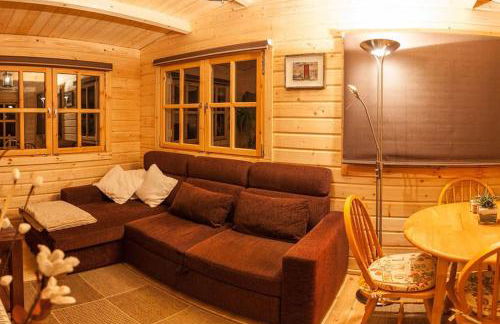 Family friendly sunny Log Cabin - Photo 19
