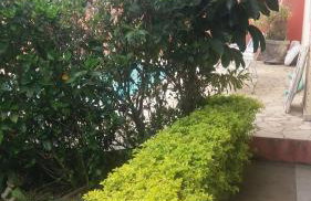 Meu Cantinho - Foto 52