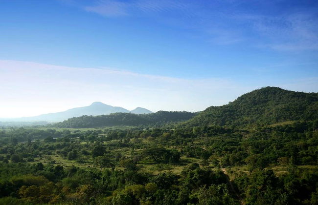 The Peak Residence - Photo 17