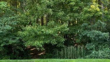 Alumni Corner - Foto 3