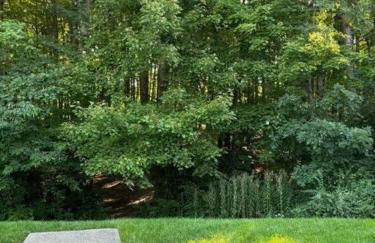 Alumni Corner - Foto 3