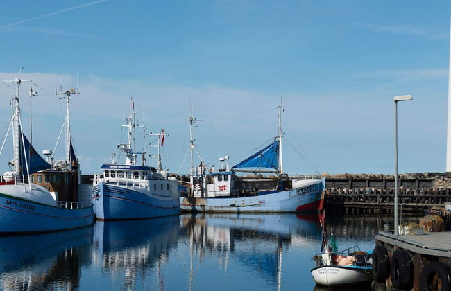 4 Person Holiday Home on Holiday Park in Glesborg - Foto 43