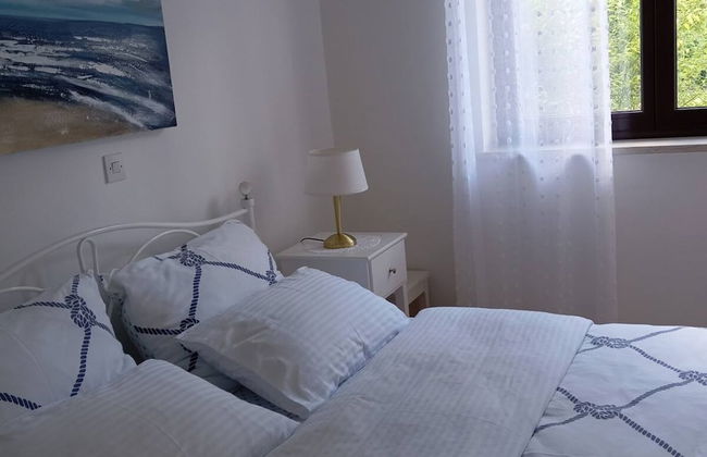 Green Garden Oasis - Photo 1