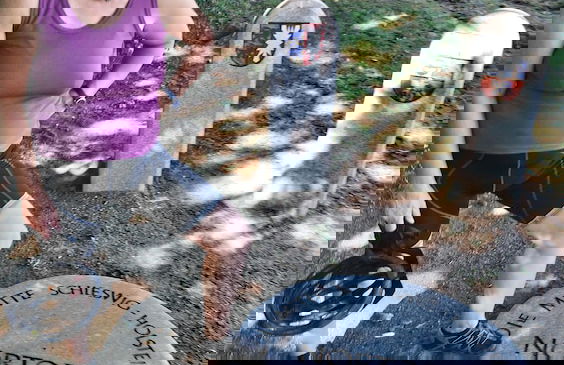 Pottkiekerhus - Foto 44