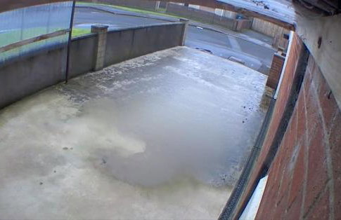 Mosside Rentals - Foto 15