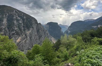 Apartamento Acogedor Pineta - Photo 19