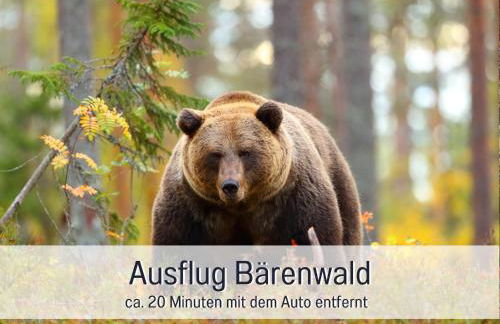 Strandhaus Mathea - ruhige Lage direkt am Fleesensee - Parkplatz, Kamin, Sauna - familienfreundlich - Foto 38