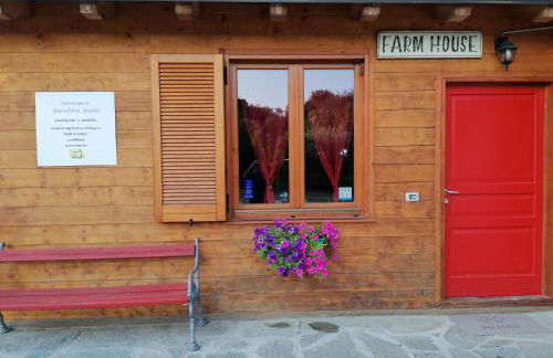 Agriturismo bio Apipoli - Foto 24