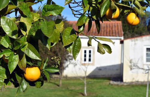 Casal das Laranjeiras - Foto 30