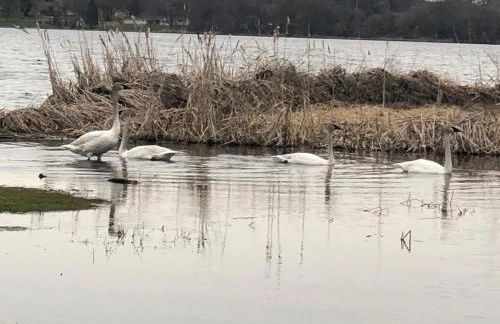 Lake Front Home with Pool and Stunning Views - Foto 10