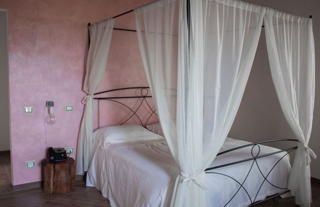 Fattoria L'Olmetto - Foto 6