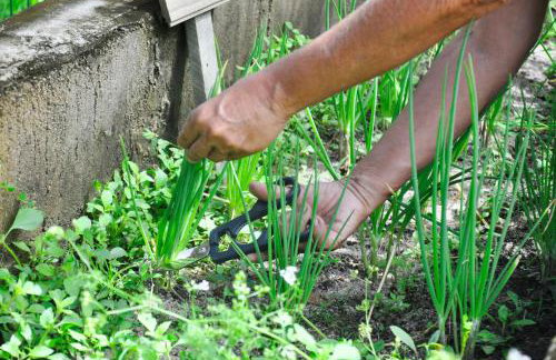 Aldeia Corumbau - Photo 41