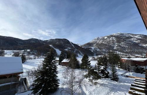 Aigle Noir - Photo 11