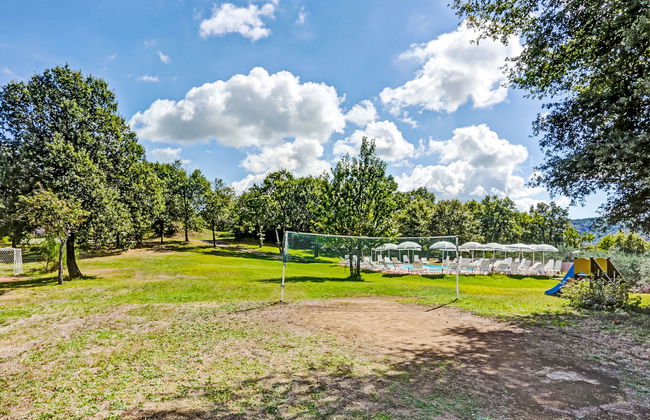 Pulcino n°3 - Foto 8