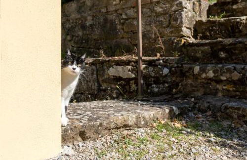 Villa Badia a Ruoti - Foto 9